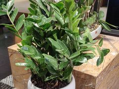 -黔蘑菇四季餐厅(观山湖店)