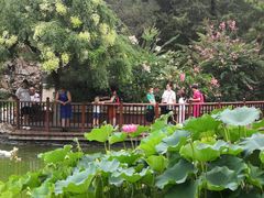 -宣武艺园
