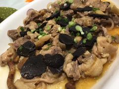 -顺风山庄(水濂山店)