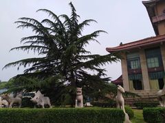 -华西龙希大酒店旅游观光区