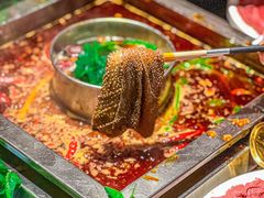-蜀江龙火锅(339店)