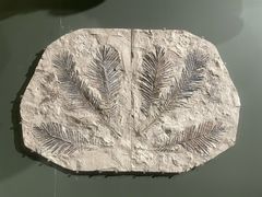 -遇见博物馆(遇见海洋沉浸式奇幻光影展)