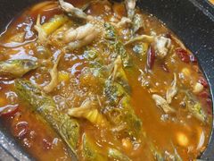 黄辣丁鲜鱼锅-小小河边鱼(天润城店)