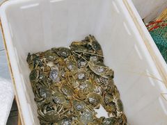 -蟹状元大闸蟹·年货·粽子(成都成华店)