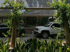 -成都市活水公园