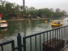 游乐设施-朝阳公园