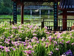 -龙头寺公园