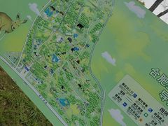 -合肥野生动物园