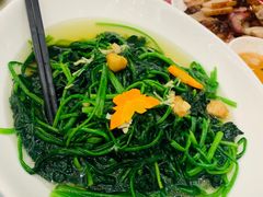 -深圳圣淘沙酒店(翡翠店)