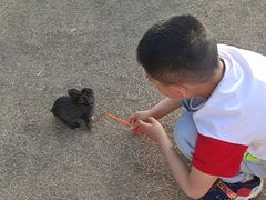 -武汉紫薇都市田园