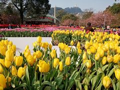 -南山植物园