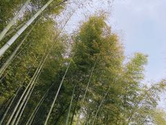 -鑫福楼农家菜