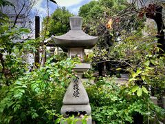 -难波八坂神社