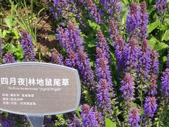 -国家植物园
