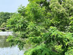 -范蠡湖公园