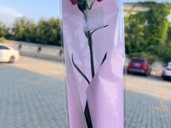 -喜满堂 望喜园·融合菜