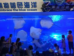 -成都浩海立方海洋公园