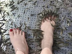 -黄龙溪古镇