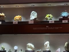 -陕西自然博物馆