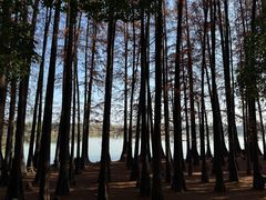 -东湖落雁景区