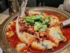 -肥家大排档(天河体育西店)