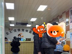 -北京佳信宠物医院