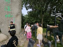 -溱湖国家湿地公园