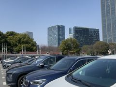 -大宁郁金香公园-停车场