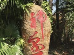 -三亚珠江南田温泉度假区