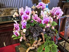 -龙悦湾酒家·八阵鱼生·渔人码头店