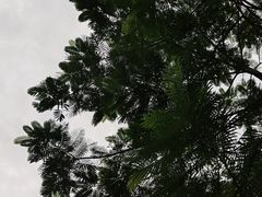 -文华公园(禅城区)