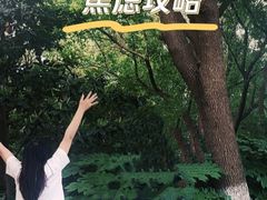 -昆山城市公园