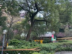 -香港大学