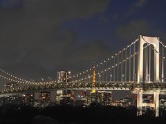 -台场海滨公园船码头