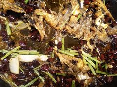 -老板恋上鱼(恒隆广场店)