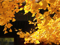 -承恩寺