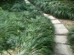 -泰州凤城河风景区-泰山公园