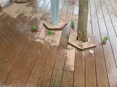 -燕塞湖鸟语林景区