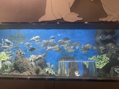 -锦艺城海洋馆