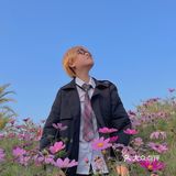 福州花海公园🍂不止郁金香还有‼️
