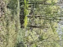 -WeLope紫金山探险公园