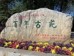 -龙沙公园