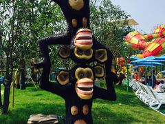 -苏州乐园森林水世界