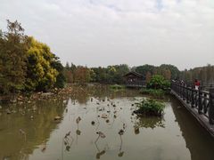 -海珠湖公园