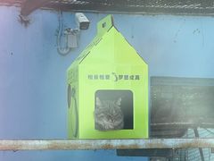 -青藏高原野生动物园