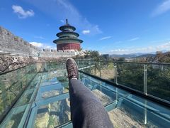 -黄贤森林公园