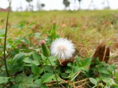 -露天矿生态公园