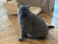 -Me Coffee下午茶艺术空间