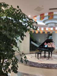 -四川娇点医学美容医院