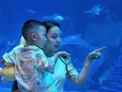 -南昌融创海世界